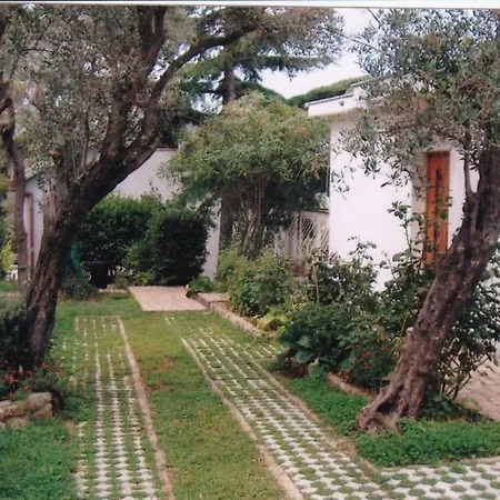 Family With Terrace Lejlighed Cres